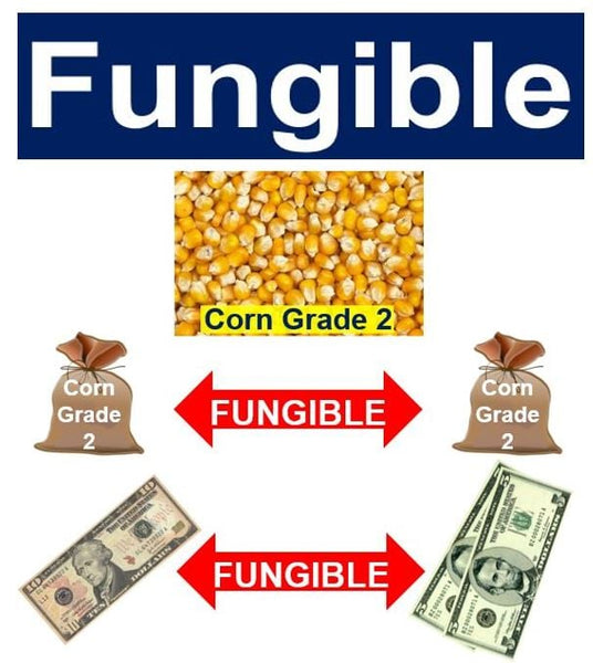 What does Fungible mean?