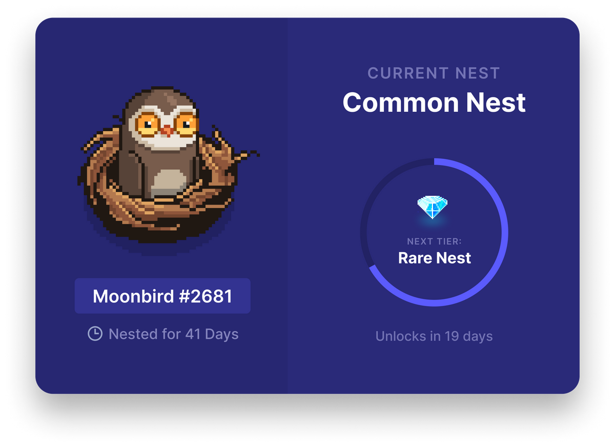 What are Moonbird NFTs?
