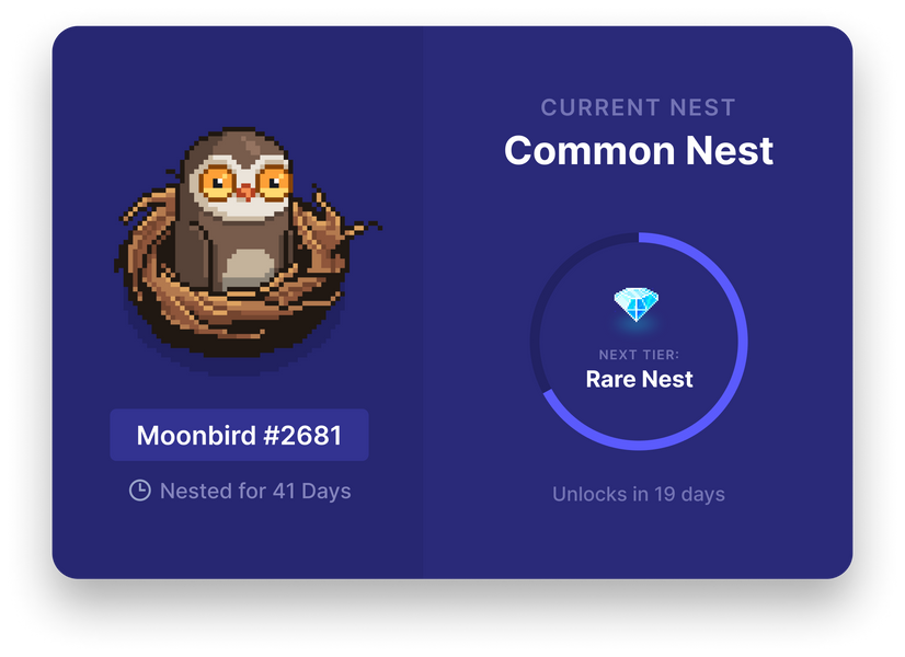 What are Moonbird NFTs?